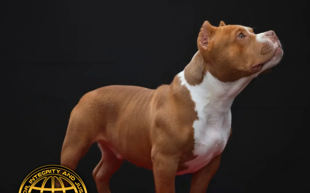 PER-00002451/990000014279732